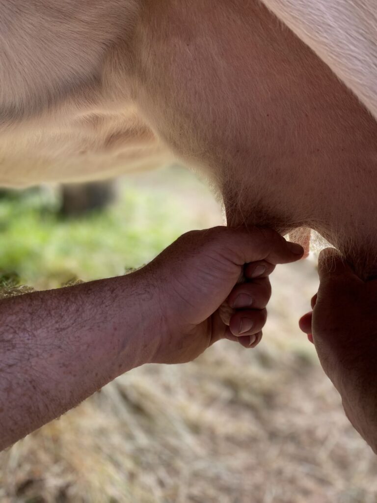 Agriturismo Malga Magnolta - Cascina Stef, Aprica